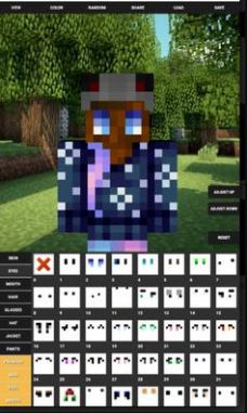 ҵƤ༭װ(Custom Skin Creator)v14.6 ׿