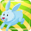 ӿbunnyrunv1.0.0 ׿