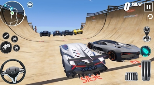 ʻģ3D(Car Driving Simulator: Race 3D)