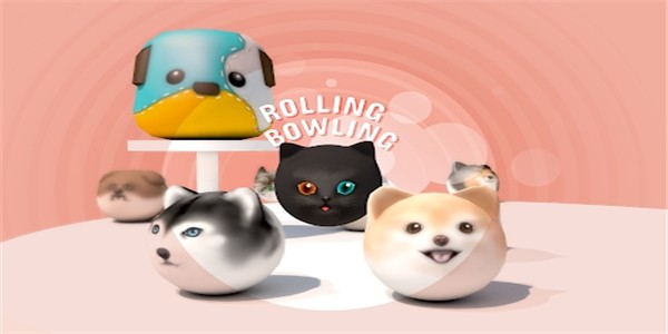 ת(Rolling Bowling)v1.2 ׿