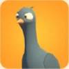 ʾ¼Pigeons Attackv1.1.5 ׿