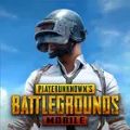 鬼头全防地铁逃生(PUBG MOBILE)v2.8.0 安卓版