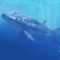 (Leedsichthys Simulator)v1.0.1 ׿