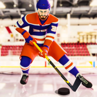 3DIce Hockey 3Dv0.4 ׿
