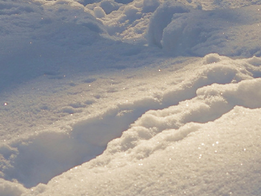 2023初雪文案发朋友圈很浪漫 张万森下雪了