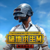 地铁逃生2.9版本(PUBG MOBILE)v2.9.0 安卓版