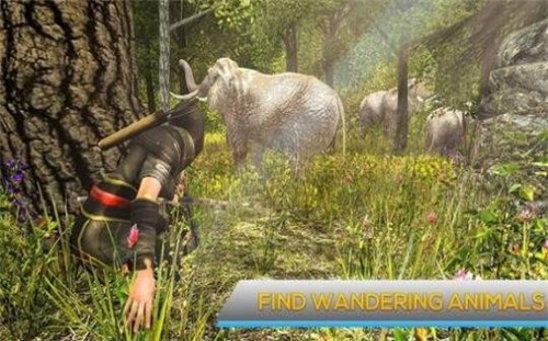 Ұ(Animals Hunting)v1.2 ׿