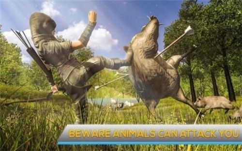 Ұ(Animals Hunting)v1.2 ׿