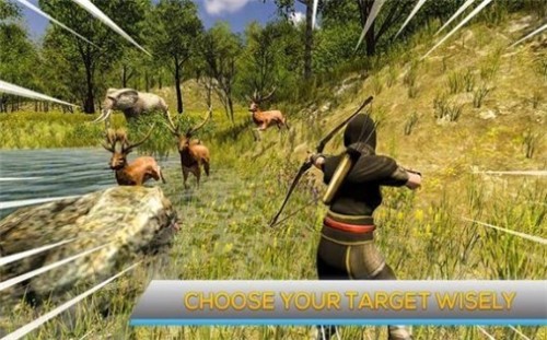 Ұ(Animals Hunting)v1.2 ׿