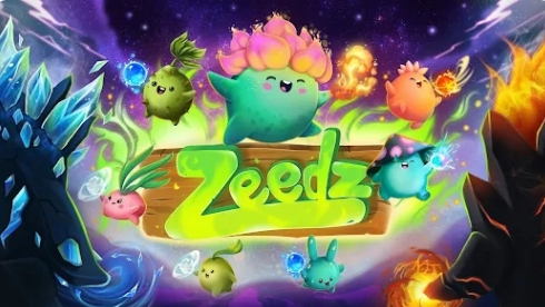 zeedz