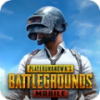 ͼͼ(PUBG MOBILE)v2.9.0 ׿