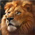 ҰʷBeast Lordv1.0.1 ׿