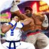 ͷսӰӰ(Street Fighting Shadow Gang)v1.0 ׿