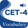 CET4ѡʻv3.1.1 °