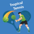 ۷Ծ3D(Tennis Clash 3D)v1.0 ׿