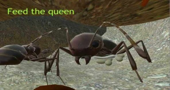 3dģ(Ant Simulation 3D)v3.3.4 ׿