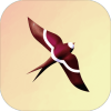 ̫Sunbirdsv1.0.2 ׿