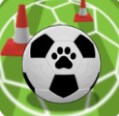 èѵCats Football Trainingv1.0.1 İ