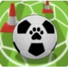 èѵCats Football Trainingv1.0.1 İ