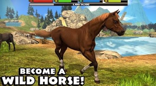 终极马匹模拟器(UltimateHorse)v1 最新版