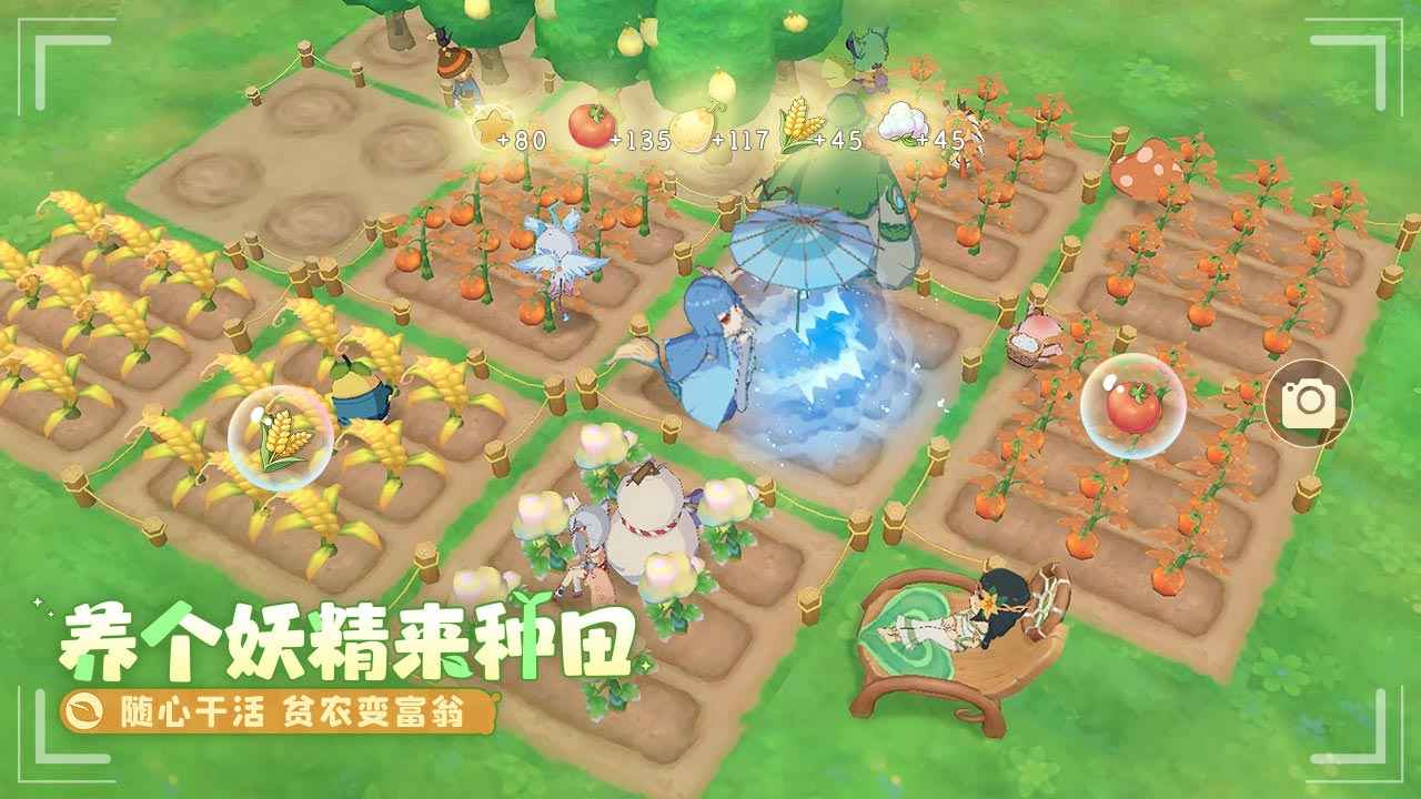 织梦森林v1.0.7 安卓版