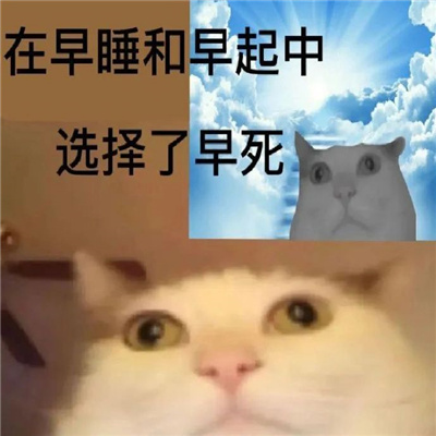 ʵñ鱬Цº ˯ѡ