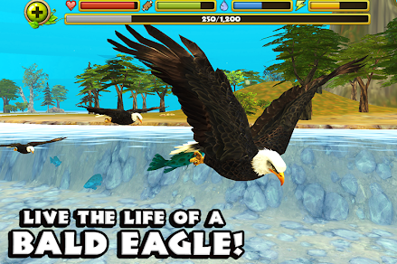 ӥģ(Eagle Sim)