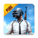 pubg国际版体验服手游下载地铁逃生(PUBG MOBILE)v2.4.1 安卓版