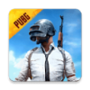 pubgʰص(PUBG MOBILE)v2.8.0 ׿