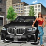 ģCar Simulator x5 City Drivingv1.0 ׿