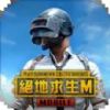 (PUBG MOBILE)v2.5.0 °