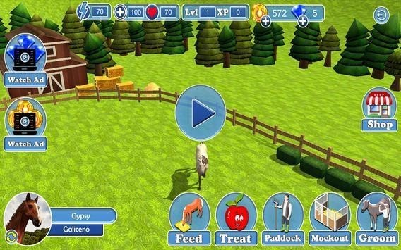 ʵ(Horse Jumping 3D)v0.4 ׿