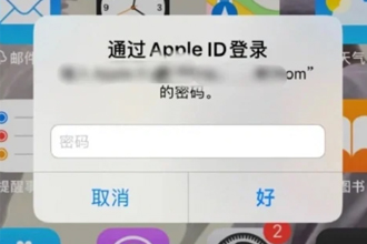 appleid一直弹出输入密码,验证失败怎么办？是否对方在查看定位？