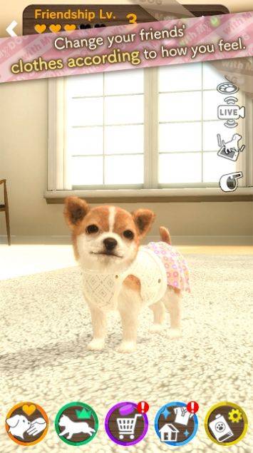 빷ͬ(withMyDOG)v1.0.2 ׿