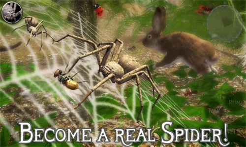 ռ֩ģ2(Spider Colony Simulation 3D)v2.4 İ