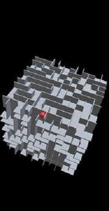 ԹMaze 3D