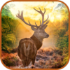 ռ¹3DDeer Sniper Hunting 3Dv1.2.9 ׿