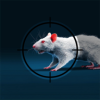 ѻ(AirRifle 3D RatShooting)v0.6.5 İ