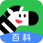 斑马百科appv1.11.1 最新版