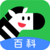 ٿappv1.0.0 °