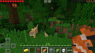 ҵ1.20.0.24ʰ(Minecraft)