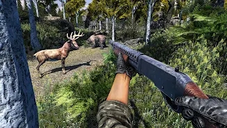 Ұ¹DeerHuntingv1.0.3 ʽ