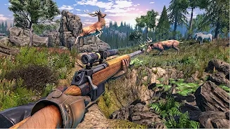 Ұ¹DeerHuntingv1.0.3 ʽ