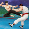 ˹ֵRobot Kung Fu Karatev1.25 ׿
