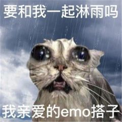 ɳĺ Ҫһװemo