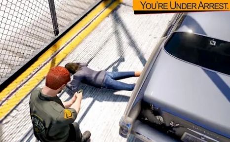 ߷ķ(Border Police Patrol Duty Sim)v1.8 ׿