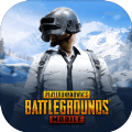 绝地求生刺激战场地铁重启（PUBG MOBILE）v2.6.0 安卓版