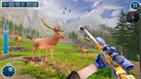 动物射击枪Animal Shooting Gamev1.2.0 安卓版