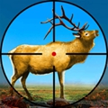 ǹAnimal Shooting Gamev1.2.0 ׿