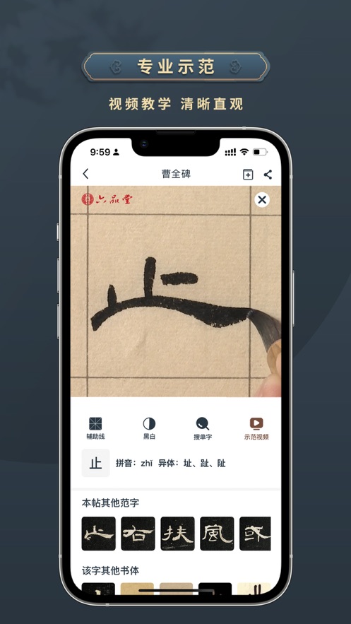 掌上碑帖appv4.9.0 安卓版